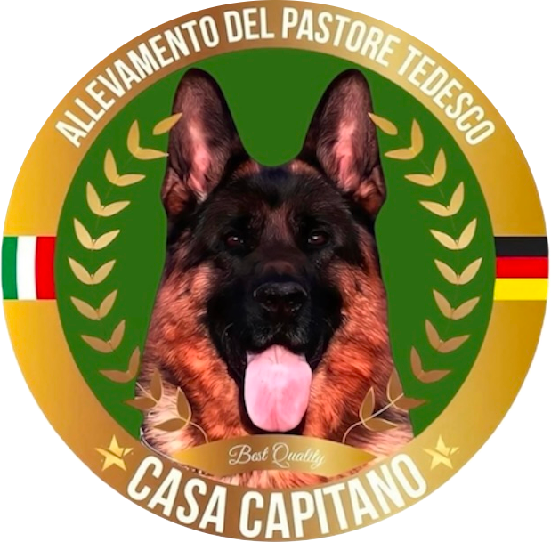 logo_ok