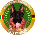 logo_ok